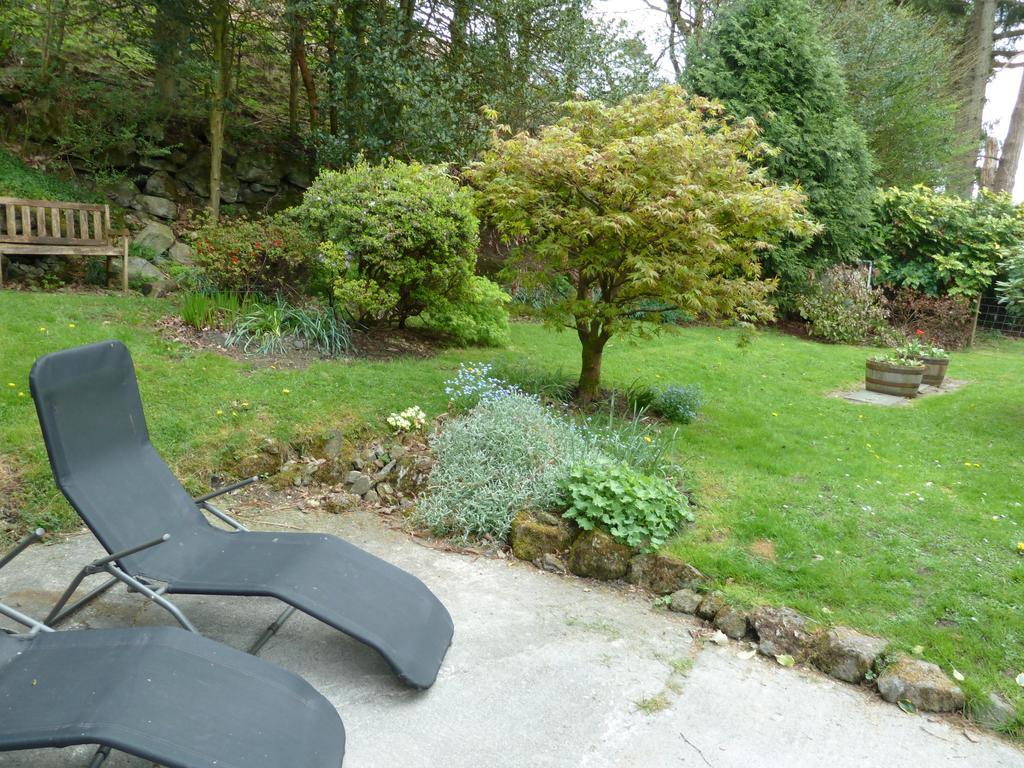 Bronfelin & Troed-Y-Rhiw Holiday Cottage Llanwrtyd Wells Exterior photo
